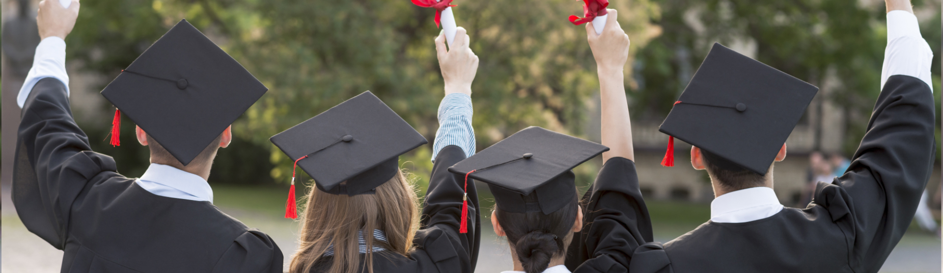 Thành tích đạt được