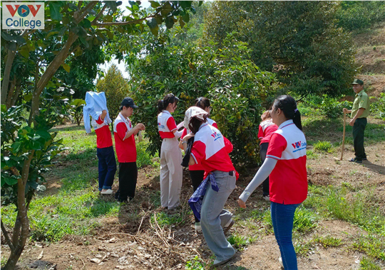 Trường Cao đẳng Phát thanh - Truyền hình II tặng và trồng cây tại Đạ Tẻh, Lâm Đồng